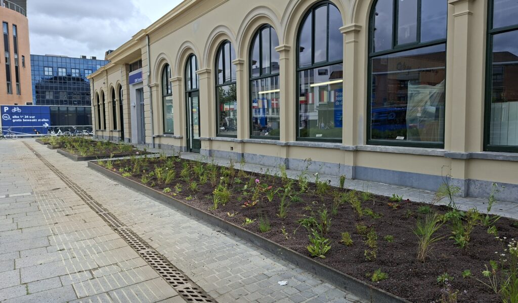ns station Leeuwarden aanleg vaste planten verhoeve groen