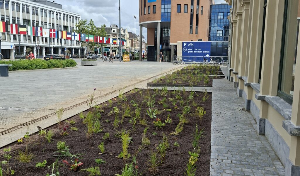 ns station Leeuwarden aanleg vaste planten verhoeve groen