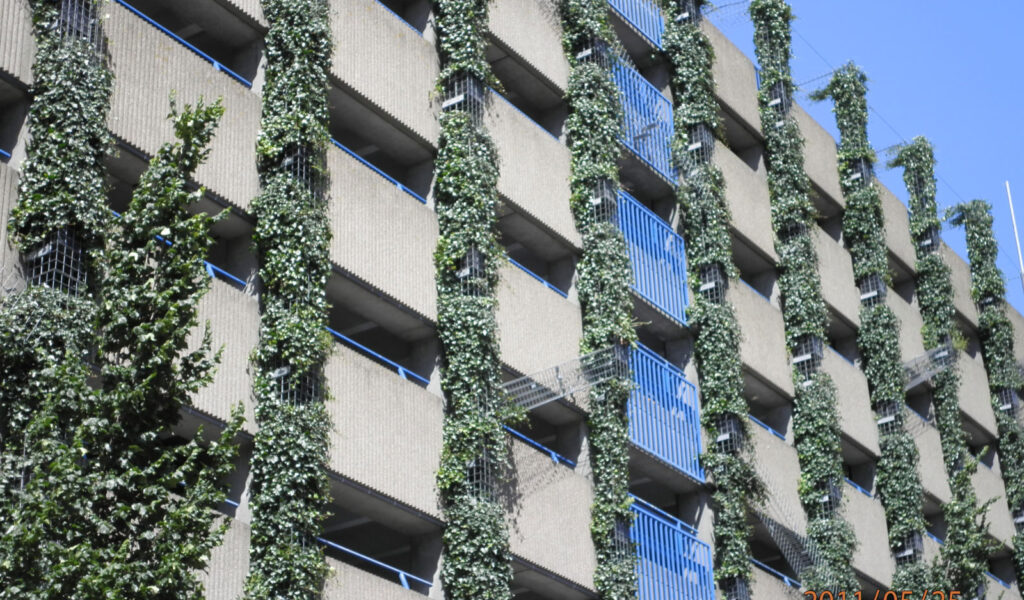 groene gevel westblaak rotterdam verhoeve groen biodiversiteit
