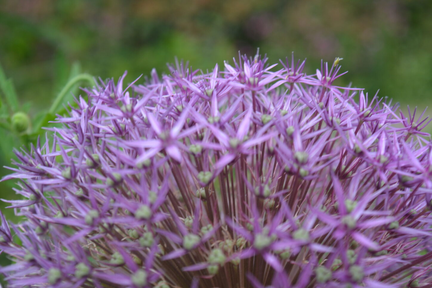 Groene projecten waarin kwaliteit, duurzaamheid en betrokkenheid centraal staan.