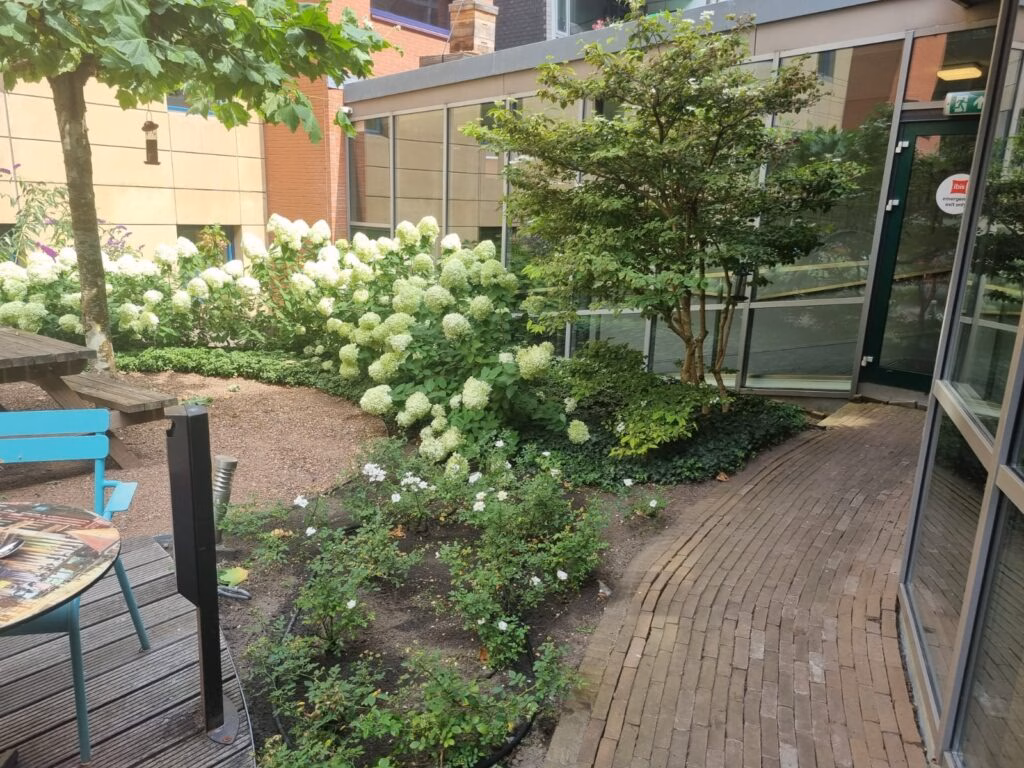 Renovatie van de binnentuin door Verhoeve Groen in Amsterdam.