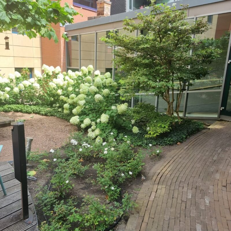 Renovatie van de binnentuin door Verhoeve Groen in Amsterdam.