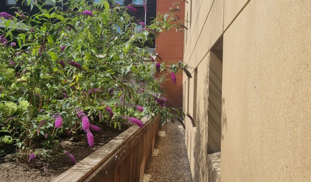 Vervangen damwand langs het plantvak tijdens de renovatie van de binnentuin in Amsterdam.